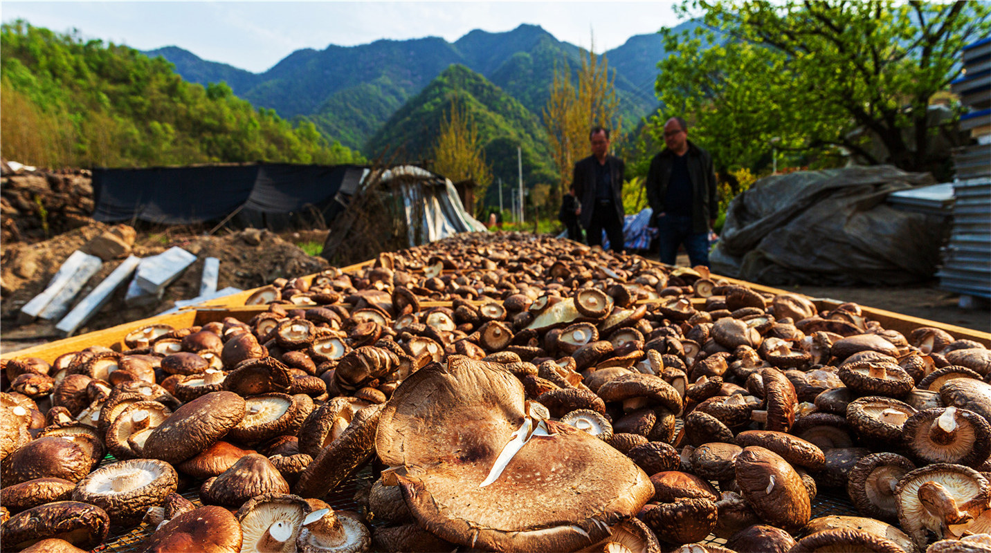 《結(jié)對幫扶，碩果累累》高波
