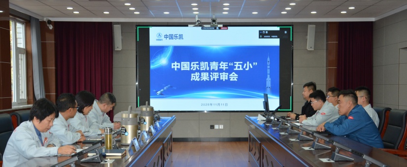 激揚(yáng)青春智造力！中國樂凱團(tuán)委召開青年&ldquo;五小&rdquo;成果評審會